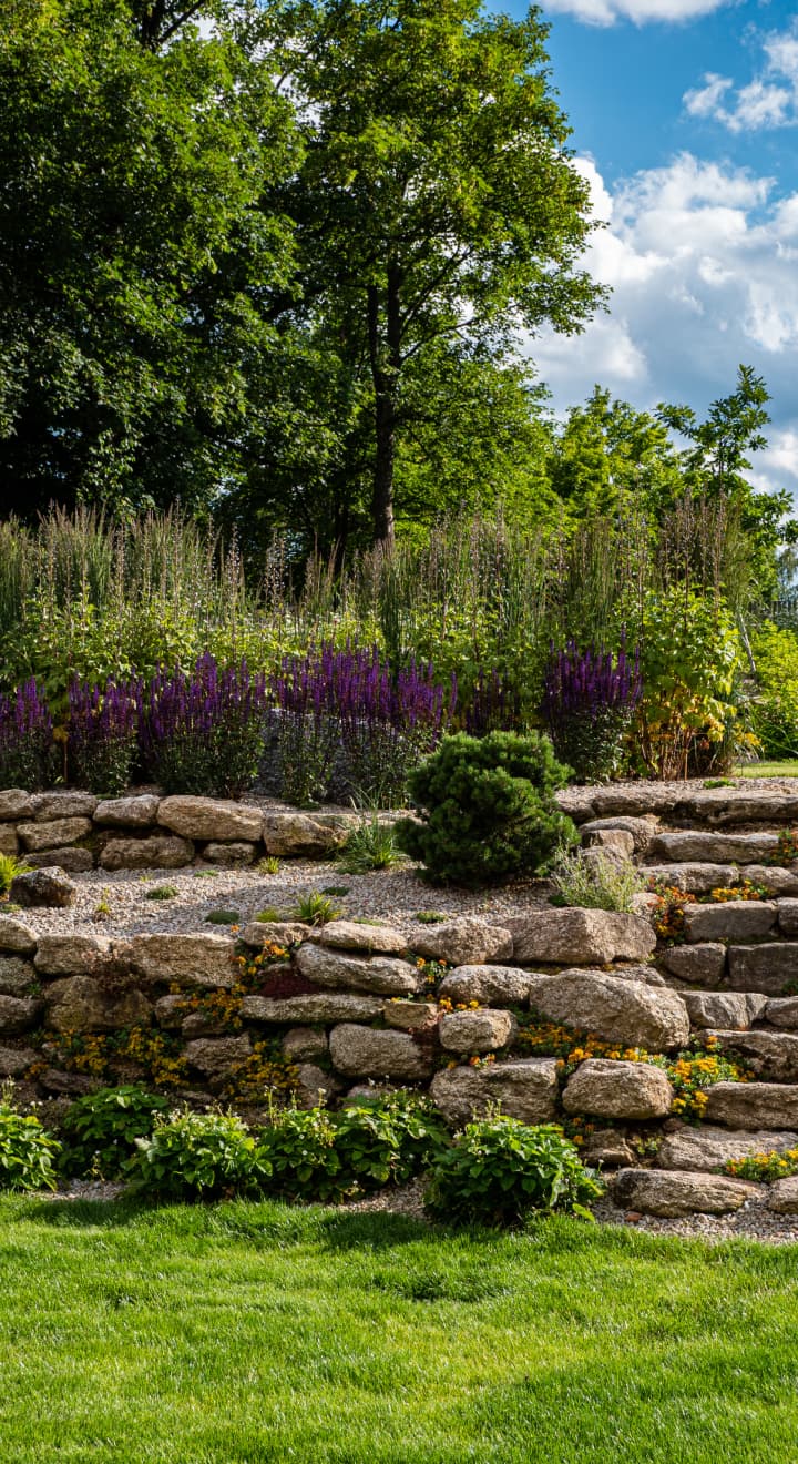 Přírodní zahrada bez chemie s rozkvetlou loukou a kamennými schody