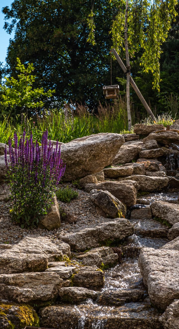 zahradní potůček s kameny a trvalkami v přírodní zahradě
