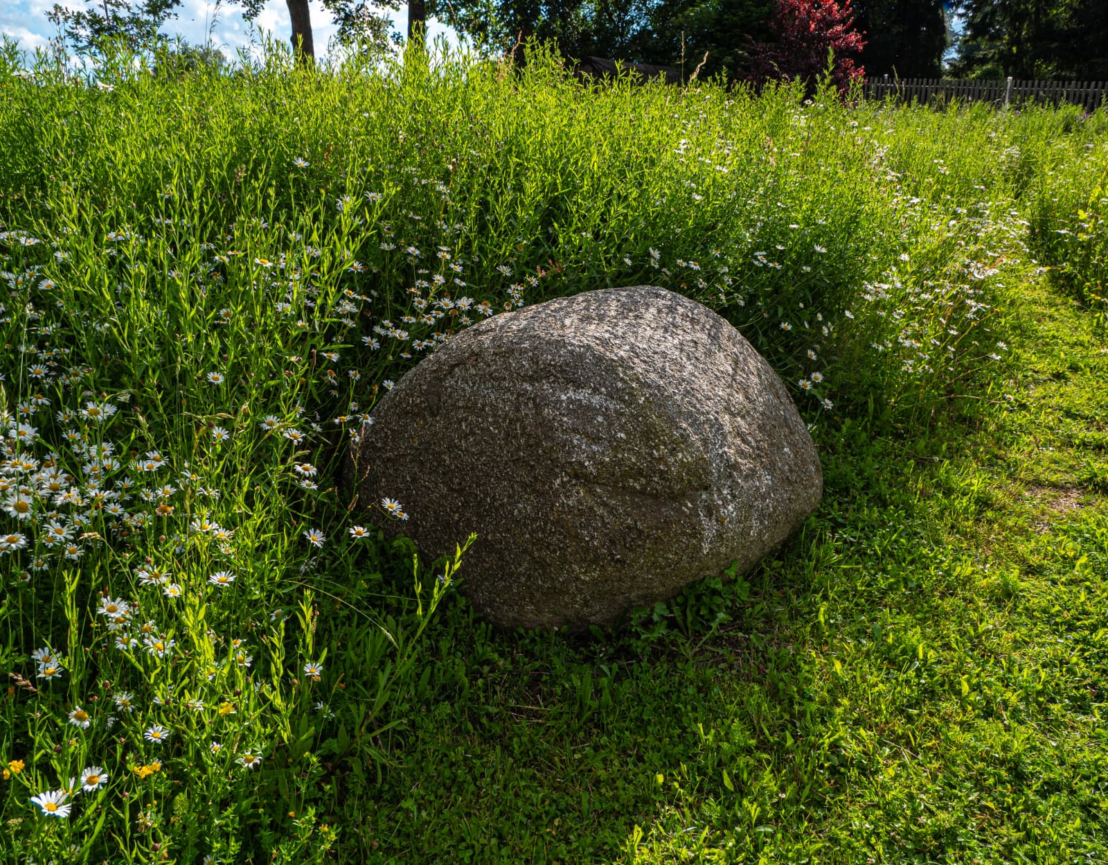 Přírodní zahrada bez chemie s divokou loukou a kamennými prvky