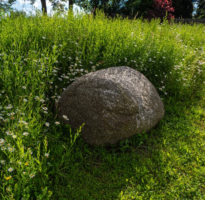 Přírodní zahrada bez chemie s divokou loukou a kamennými prvky