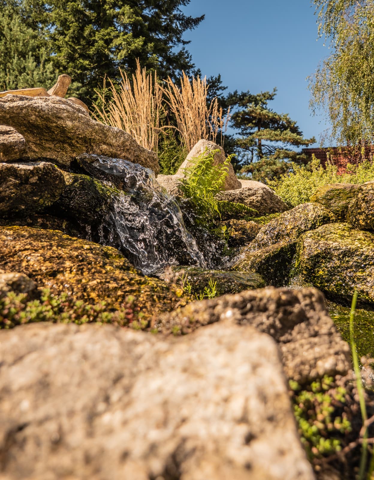kamenný zahradní potůček v přírodní zahradě
