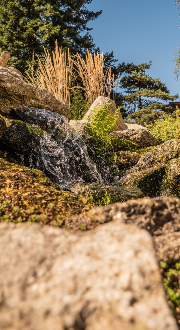 kamenný zahradní potůček v přírodní zahradě